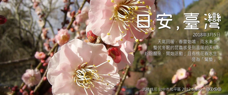 365 日安，臺灣之2018年3月5日